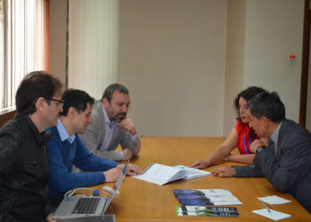 OLACDE y el Gobierno de Brasil trabajan en la Implementación del Sistema de Información Energética