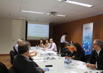 OLACDE y el Ministerio de Minas y Energía de Brasil realizan taller de presentación del Sistema de Información Energética