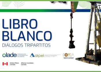 OLACDE pone a disposición la publicación “Libro Blanco sobre los Diálogos Tripartitos”