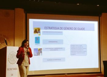OLACDE participó en la formación del Grupo Interinstitucional de Estadísticas en Género y Energía (GIEGE)