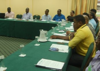 OLACDE y la Agencia de Energía de Guyana realizaron el taller de cierre del Programa para América Latina y el Caribe de Eficiencia Energética