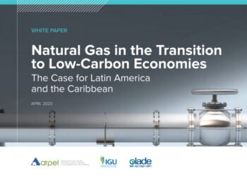 Gas Natural en las transiciones hacia economías bajas en carbono. El caso de América Latina y el Caribe