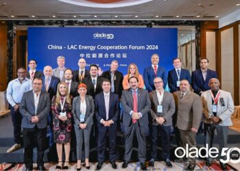 OLACDE y Municipio de Shenzhen Impulsan la Innovación Energética en  Foro de Energía Digital China-América Latina y el Caribe
